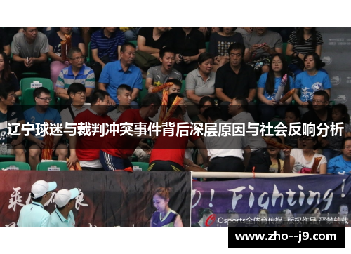 辽宁球迷与裁判冲突事件背后深层原因与社会反响分析